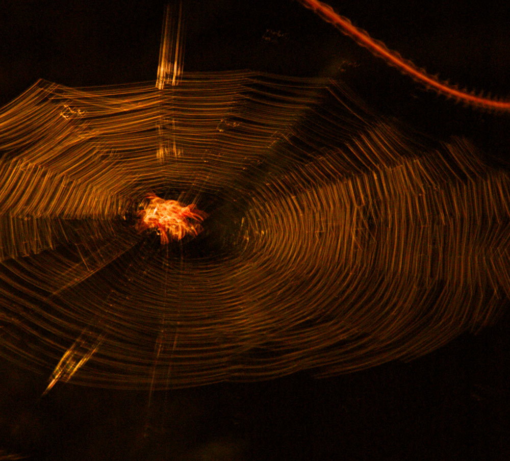 Photographie par Lmorrow57 pour DesignCrowd (Community Contests) | Design #8978983