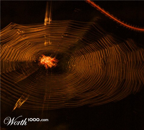 Photography by Lmorrow57