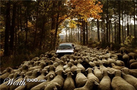 Photoshop Design by virtel2