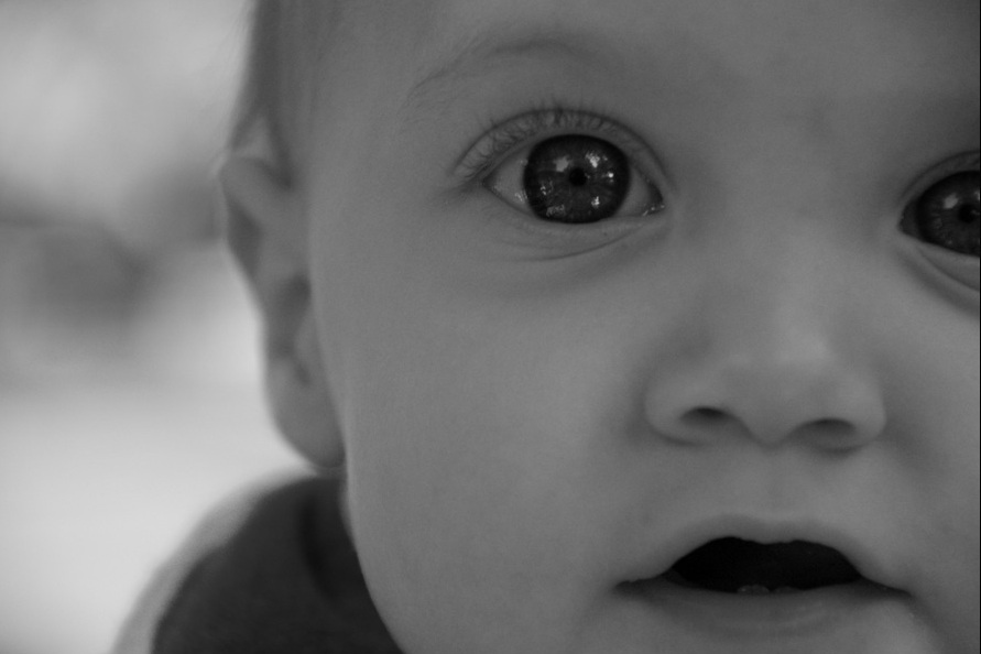 Photography by Schanina for DesignCrowd (Community Contests) | Design #8978420