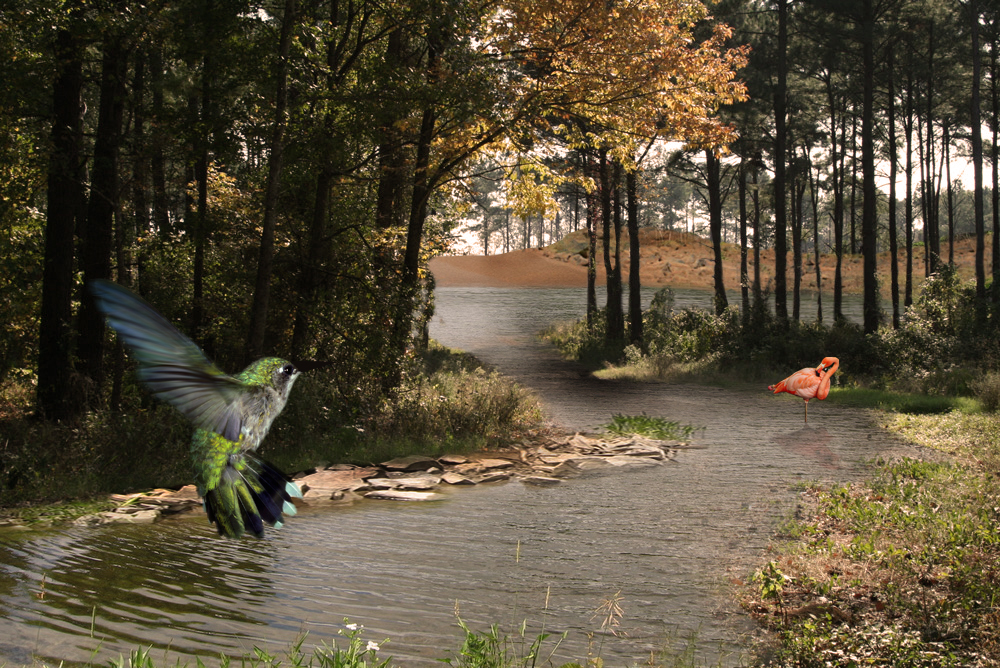 Photoshop-Design von Darkfable für DesignCrowd (Community Contests) | Design #8979457