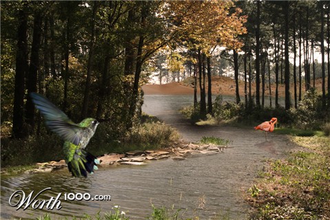 Photoshop Design by Darkfable
