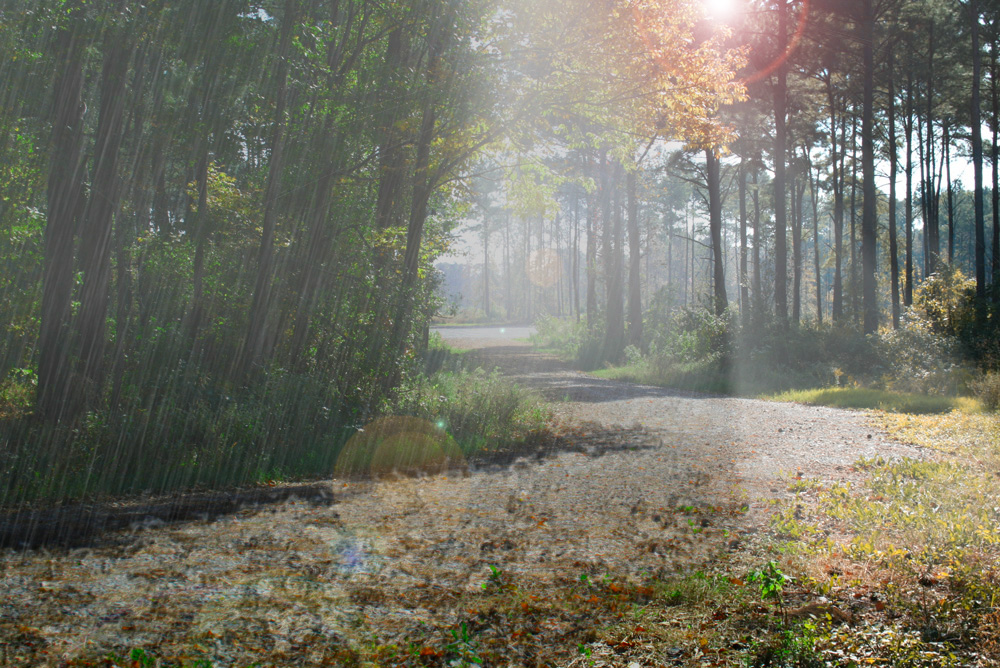 Diseño de Photoshop por alexlol89 para DesignCrowd (Community Contests) | Diseño #8979500