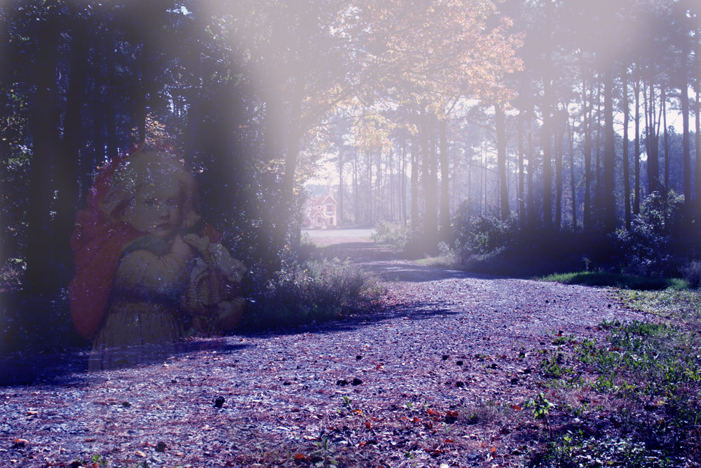 Design Photoshop par politikk2007 pour DesignCrowd (Community Contests) | Design #8979490