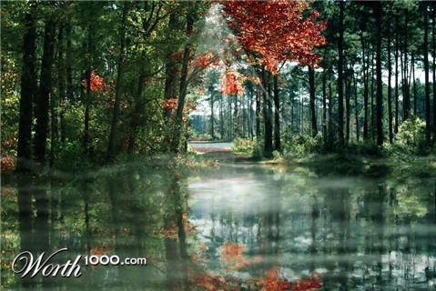 Photoshop Design by ppyczek