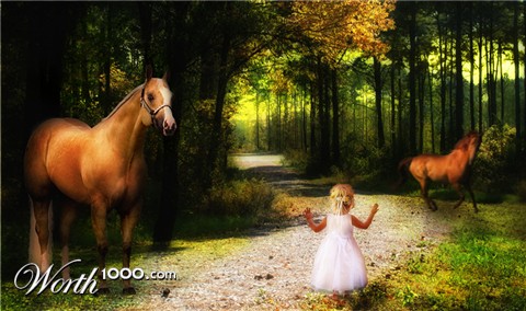 Photoshop Design by Floridaorange