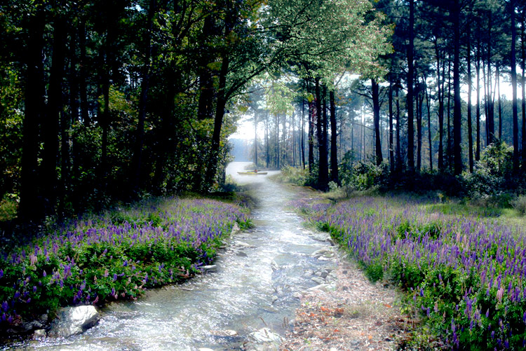 Design Photoshop par northman pour DesignCrowd (Community Contests) | Design #8979618