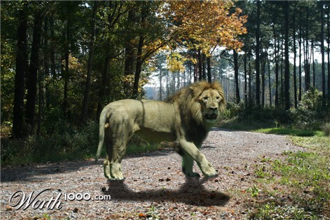 Photoshop Design by snoggbukker