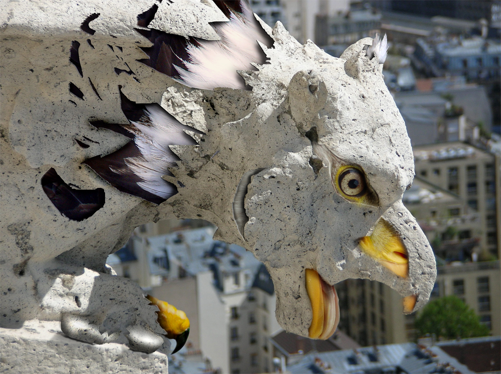 Photoshop Design by PixelTreason for DesignCrowd (Community Contests) | Design #8980453