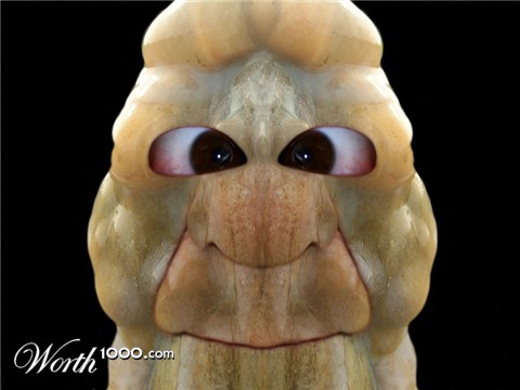 Photoshop Design by YearoftheDragon