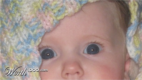 Photography by gloobella