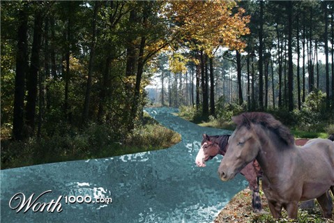 Photoshop Design by nikkiann