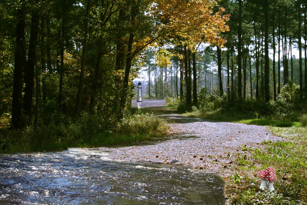 Photoshop Design by FlipFlopLoz for DesignCrowd (Community Contests) | Design #8979687