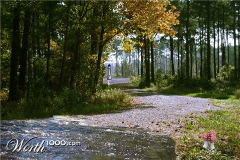 Photoshop Design by FlipFlopLoz