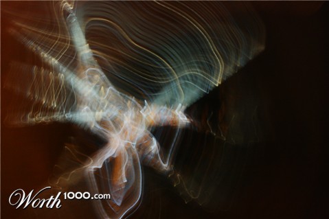 Photography by phenexus