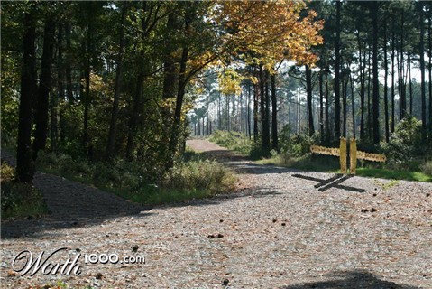 Photoshop Design by reynolds36