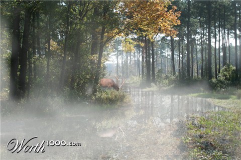 Photoshop Design by Para