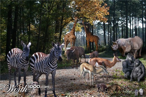 Photoshop Design by lucimine