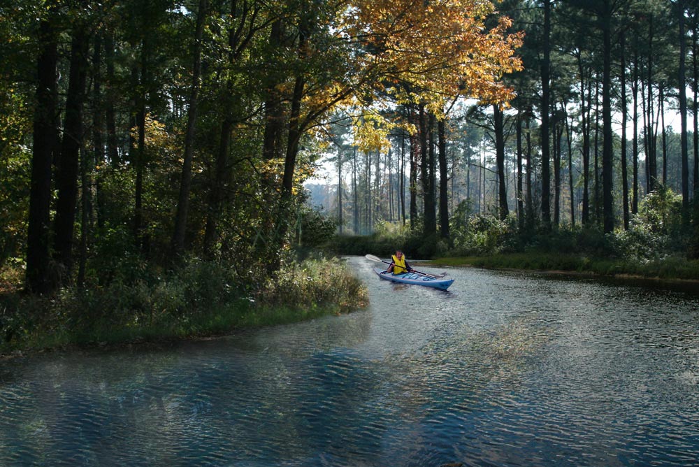 Diseño de Photoshop por copycatfish para DesignCrowd (Community Contests) | Diseño #8979624