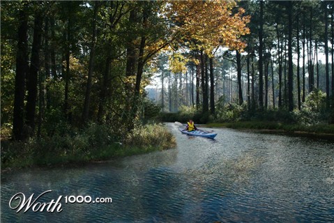 Photoshop Design by copycatfish