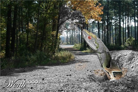 Photoshop Design by ThroughTheMirror