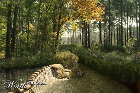Photoshop Design by ilCuco