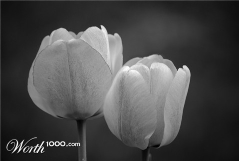 Photography by Sam1968