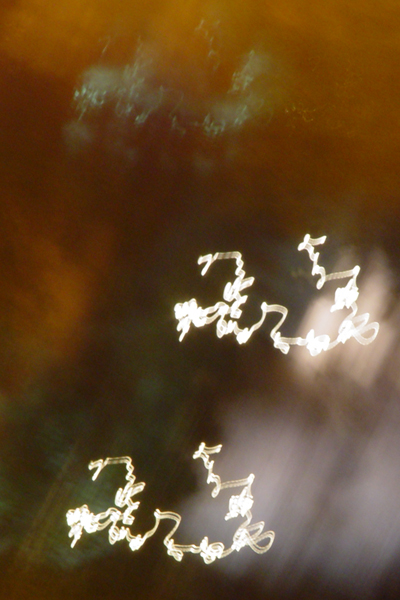 Photography by ljvgtj for DesignCrowd (Community Contests) | Design #8978925