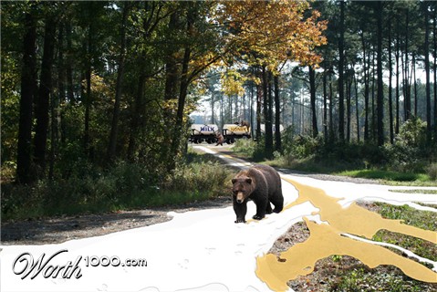 Photoshop Design by claypots