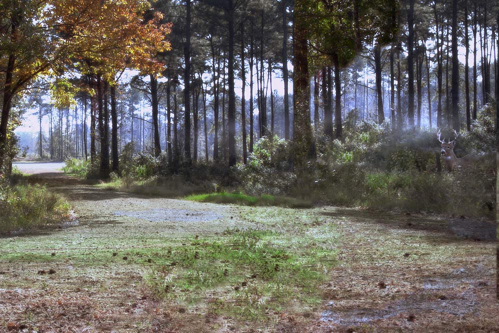 Photoshop-Design von caduma für DesignCrowd (Community Contests) | Design #8979786