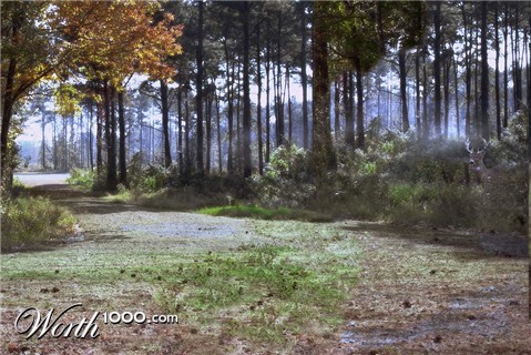 Photoshop Design by caduma