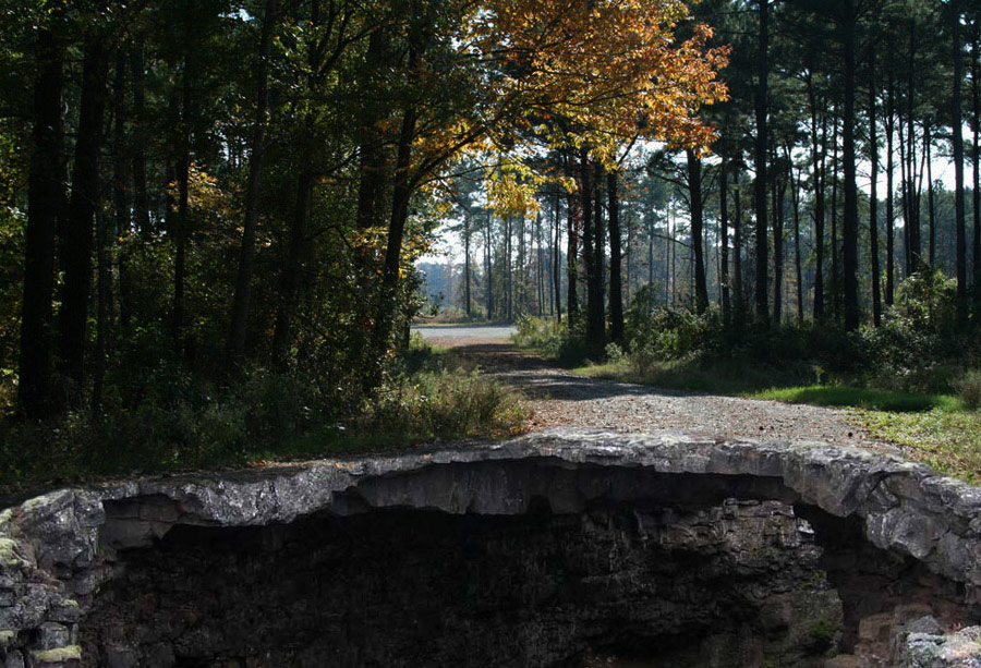 Design Photoshop par YearoftheDragon pour DesignCrowd (Community Contests) | Design #8979717