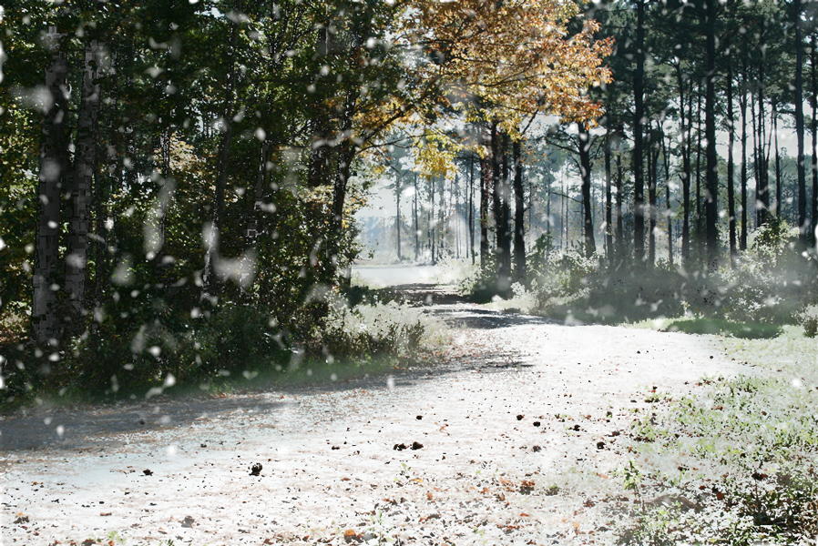 Diseño de Photoshop por KillaThaWiz para DesignCrowd (Community Contests) | Diseño #8979729