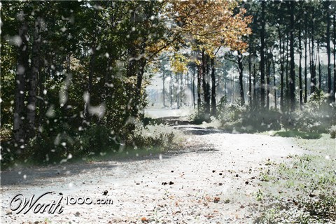 Photoshop Design by KillaThaWiz