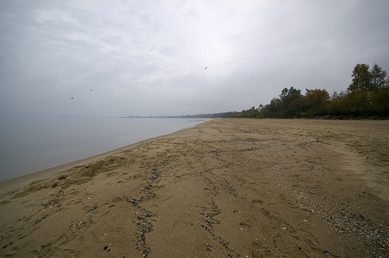 Photography by amorfic for DesignCrowd (Community Contests) | Design #8978084