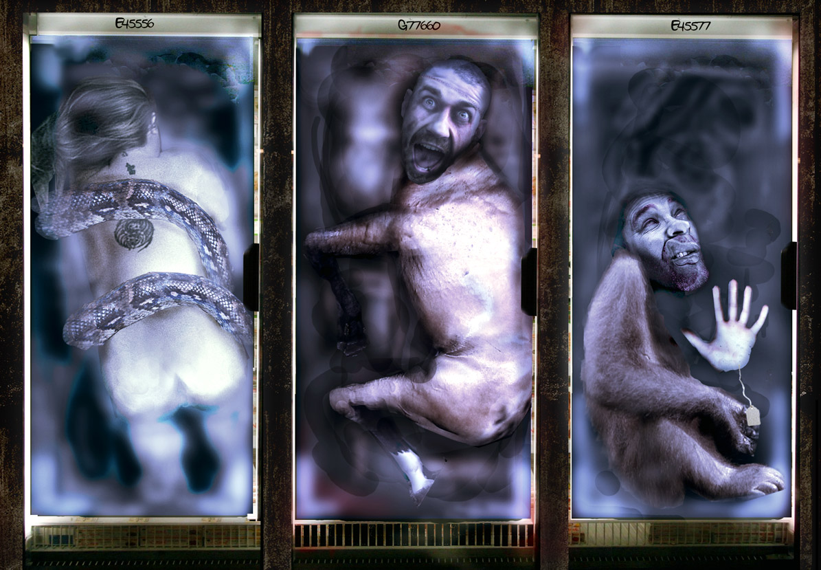 Photoshop-Design von NakedApe für DesignCrowd (Community Contests) | Design #8983348