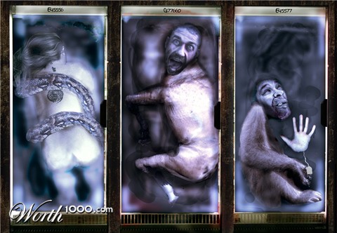 Photoshop Design by NakedApe