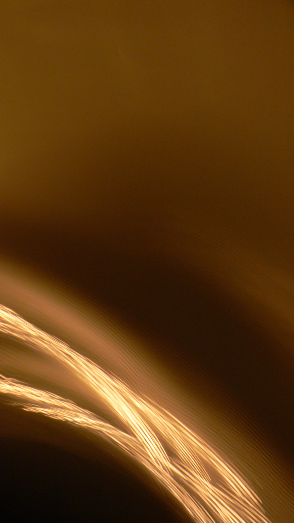 Photography by sausirhi for DesignCrowd (Community Contests) | Design #8979144