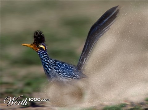 Photoshop Design by fanucci