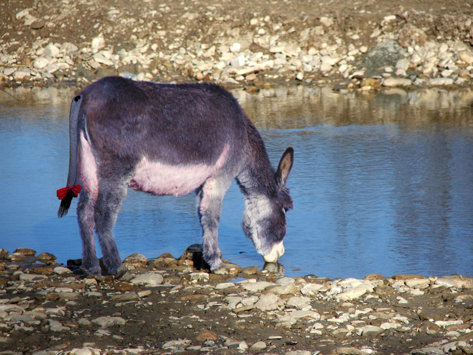 Photoshop-Design von timpoc für DesignCrowd (Community Contests) | Design #8979426