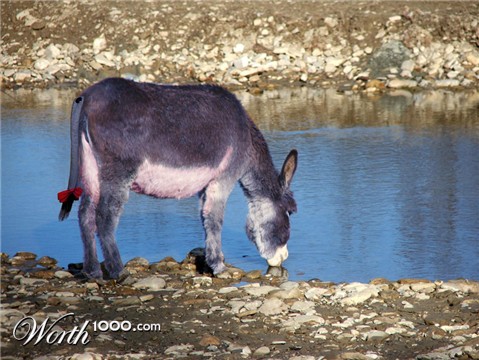 Photoshop Design by timpoc