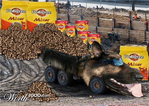 Photoshop Design by killerinstink