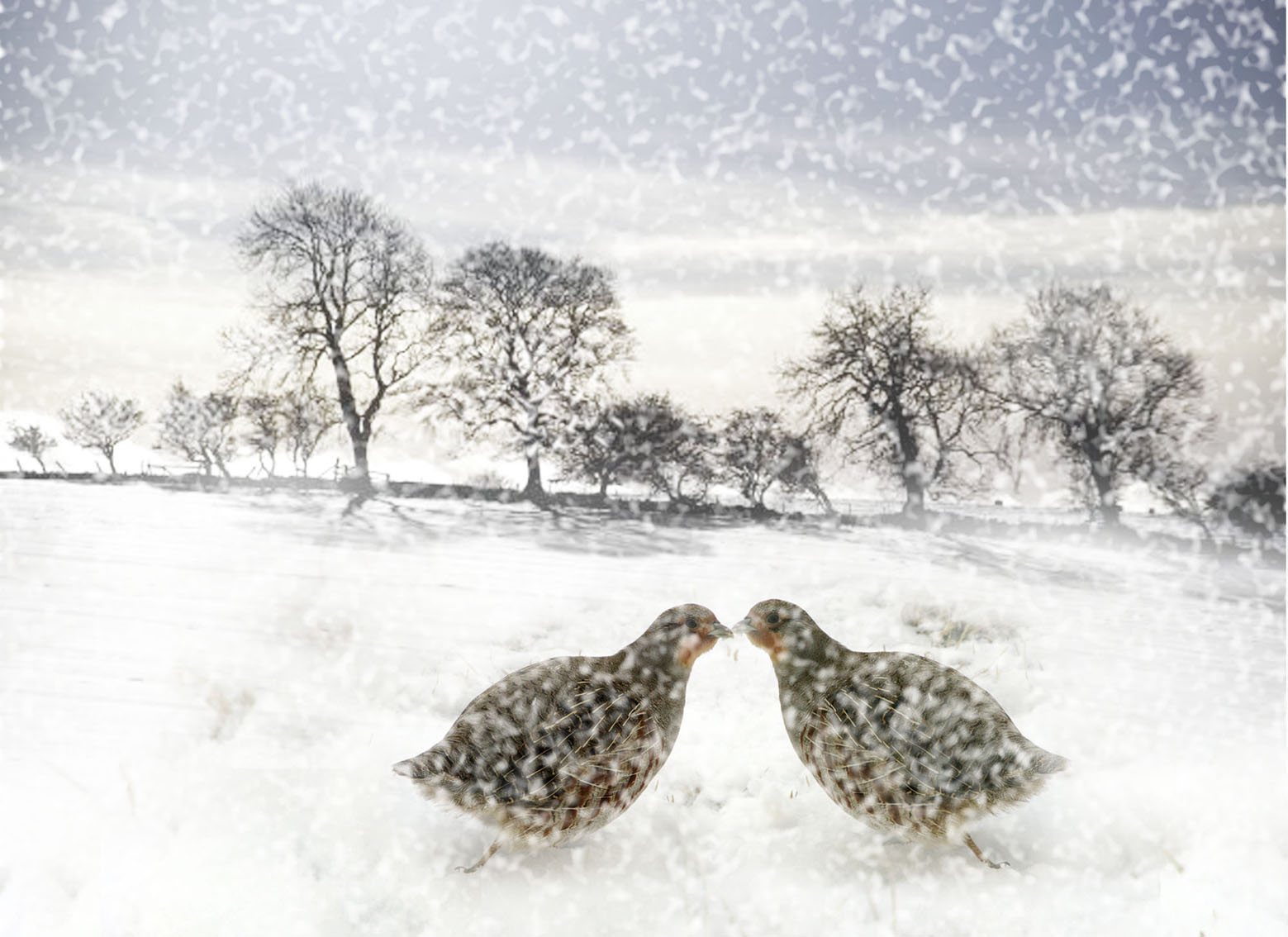 Photoshop Design by saransa for DesignCrowd (Community Contests) | Design #8978774