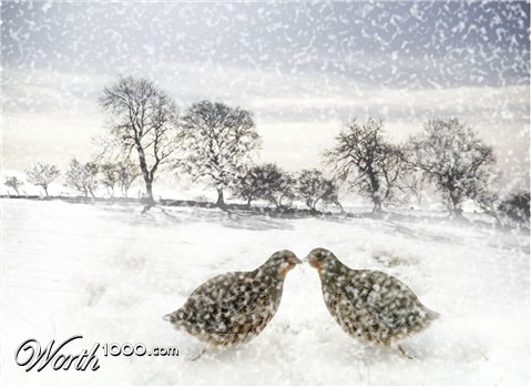 Photoshop Design by saransa