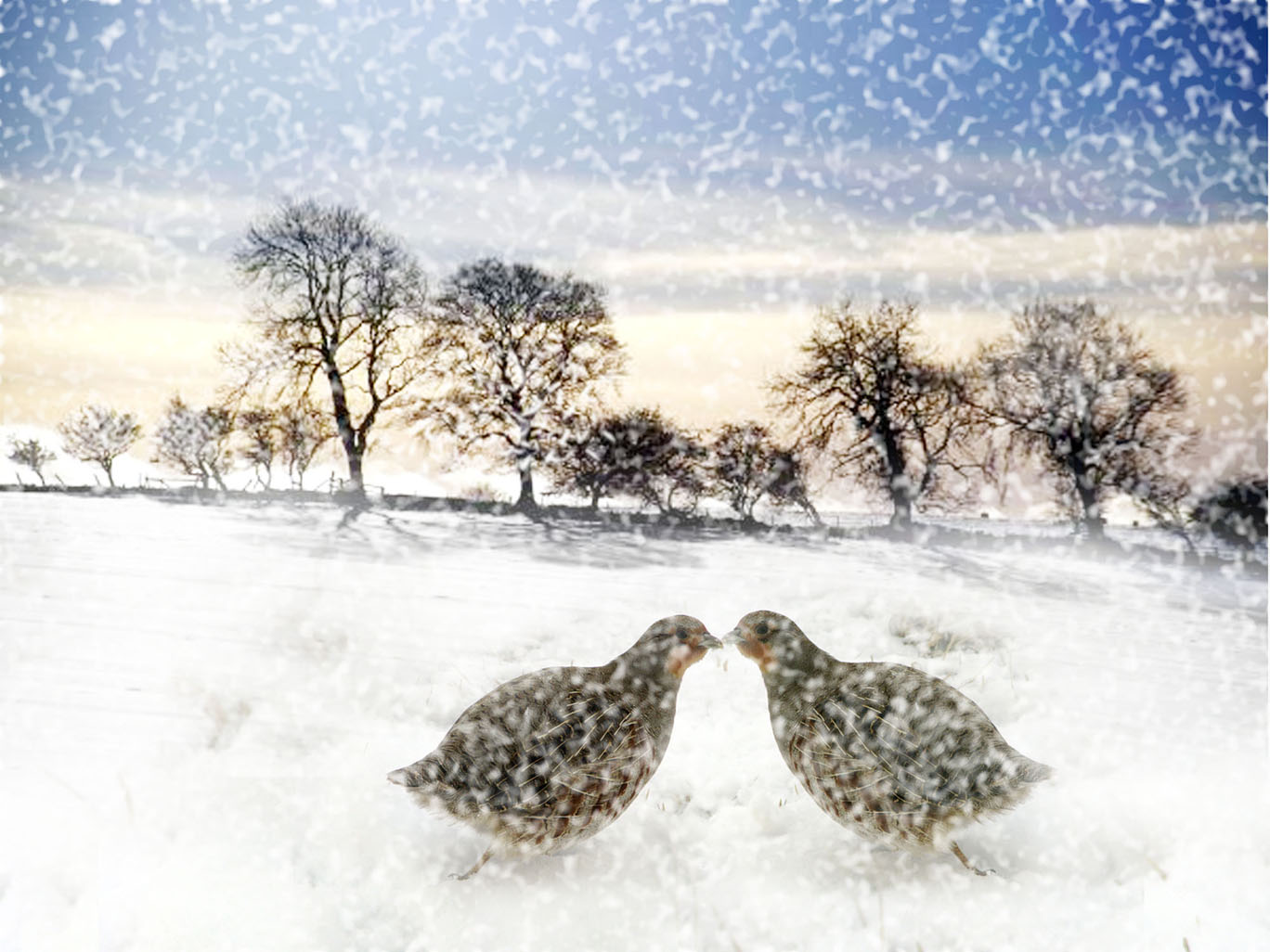 Photoshop-Design von srinixenos für DesignCrowd (Community Contests) | Design #8978789