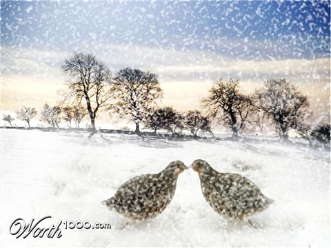 Photoshop Design by srinixenos