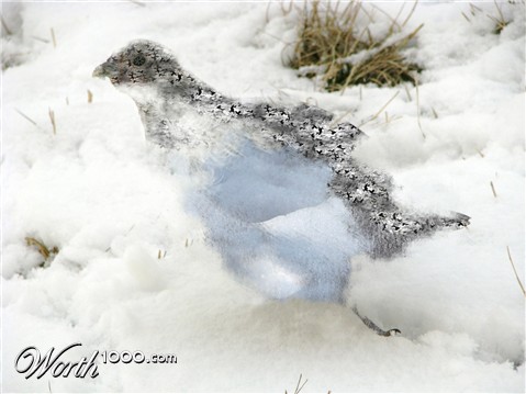 Photoshop Design by XIIIAngel