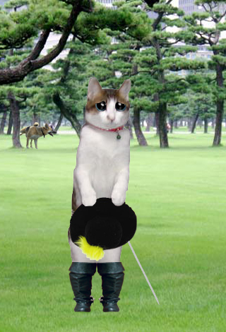 Photoshop Design by alesiphoto for DesignCrowd (Community Contests) | Design #8979513