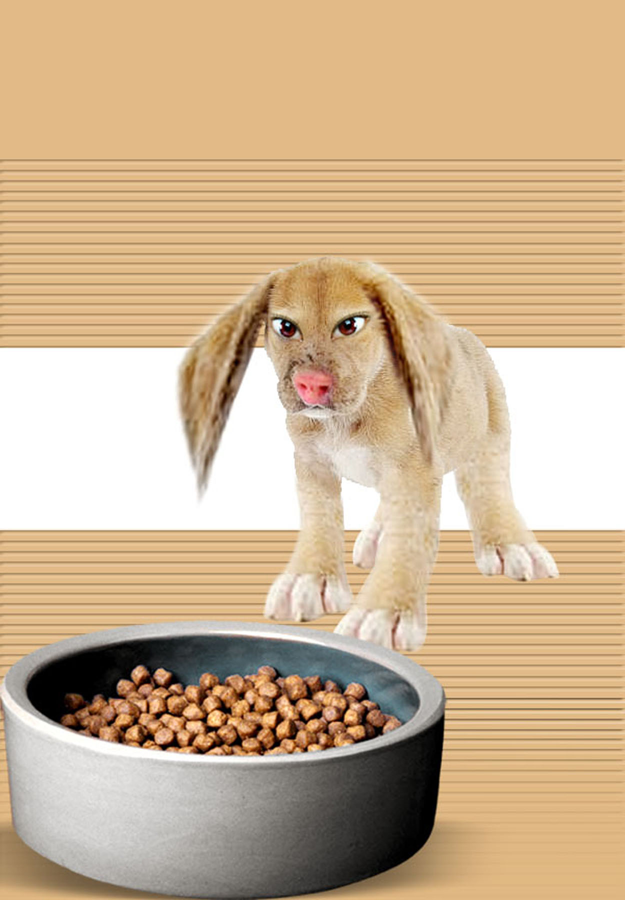 Photoshop Design by saransa for DesignCrowd (Community Contests) | Design #8979508