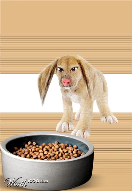 Photoshop Design by saransa